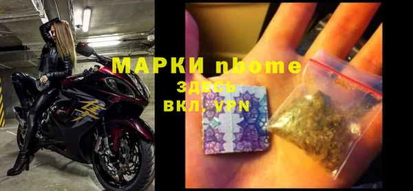 винт Алзамай