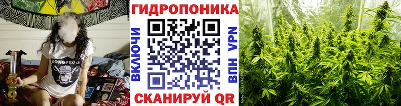 Конопля Ganja Волхов